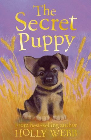 Animal Stories 22: Secret Puppy