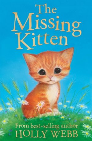 Animal Stories 24: Missing Kitten
