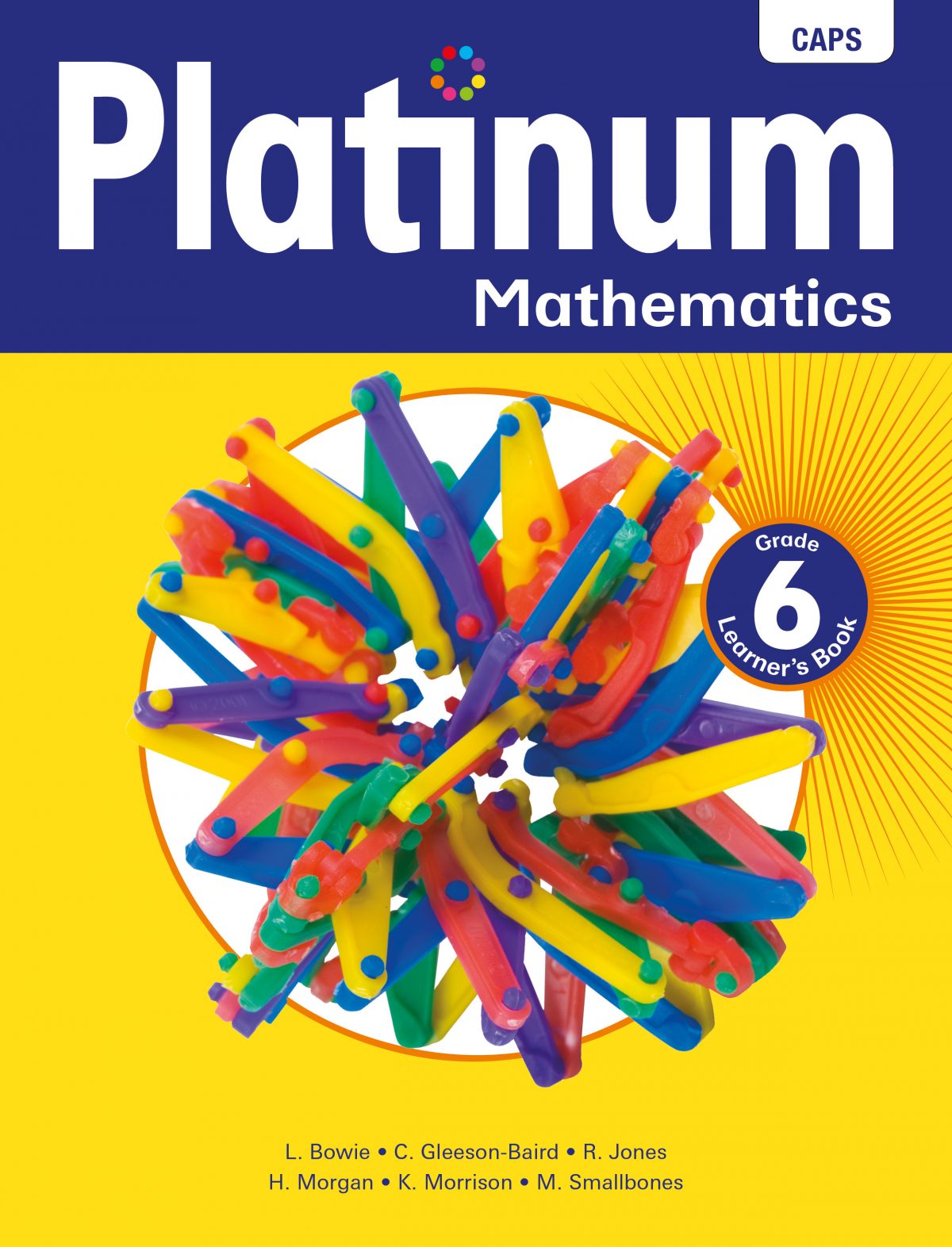 Platinum Mathematics Grade 6 Learner's Book