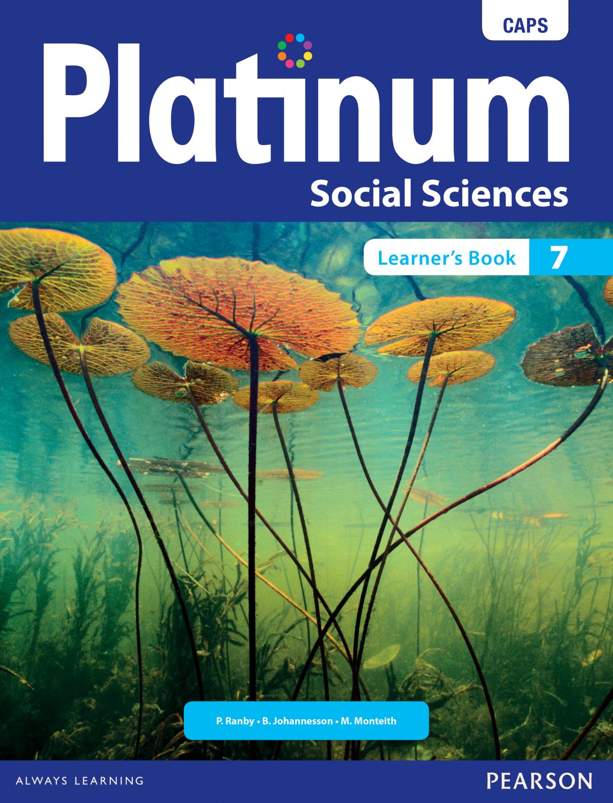 platinum social science grade 4 pdf
