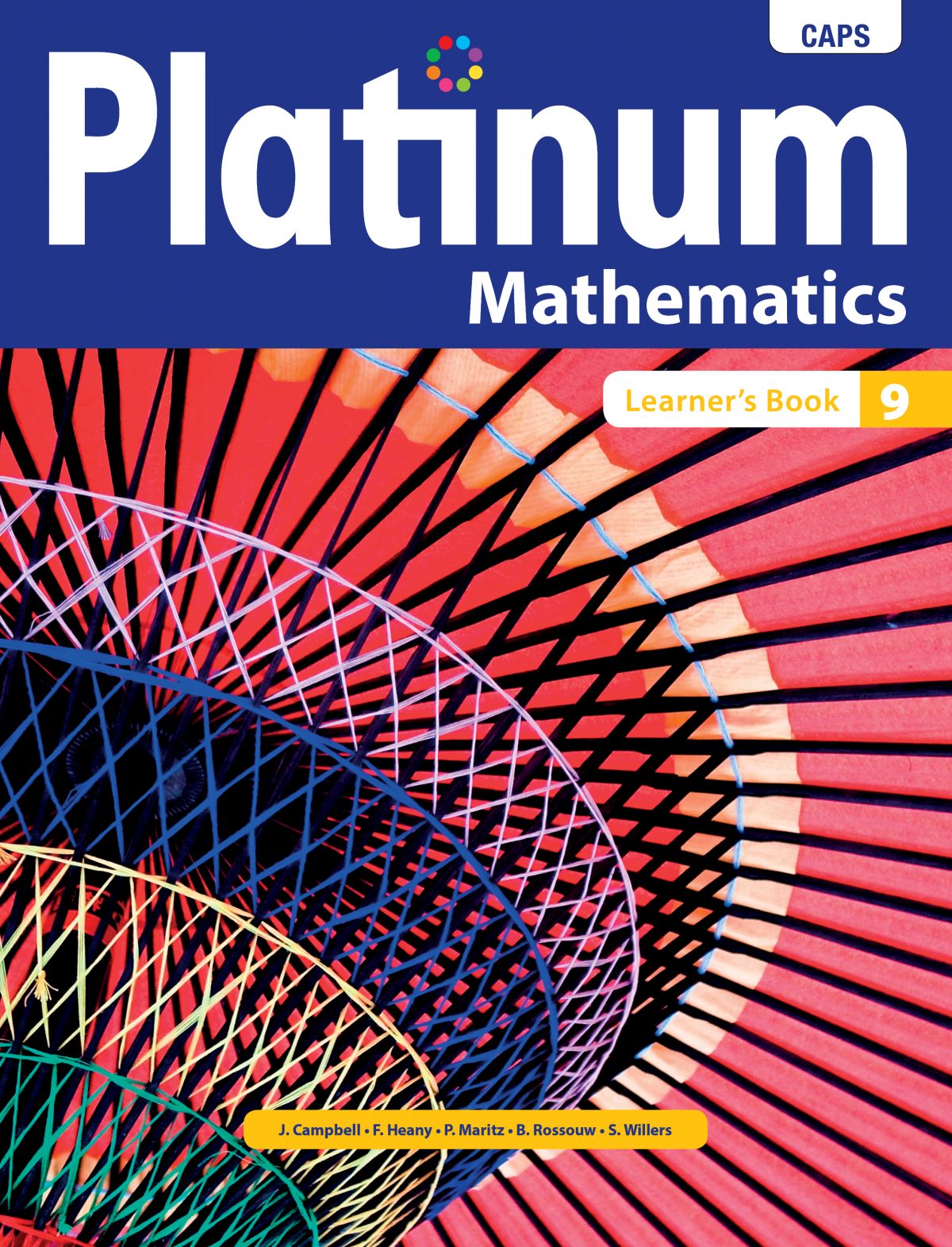 Platinum Mathematics Grade 9 Learner's Book